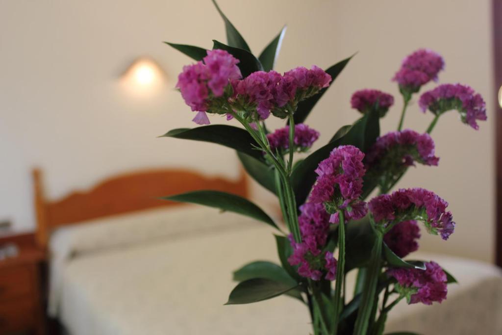 Hotel Abadi Cordoba Luaran gambar
